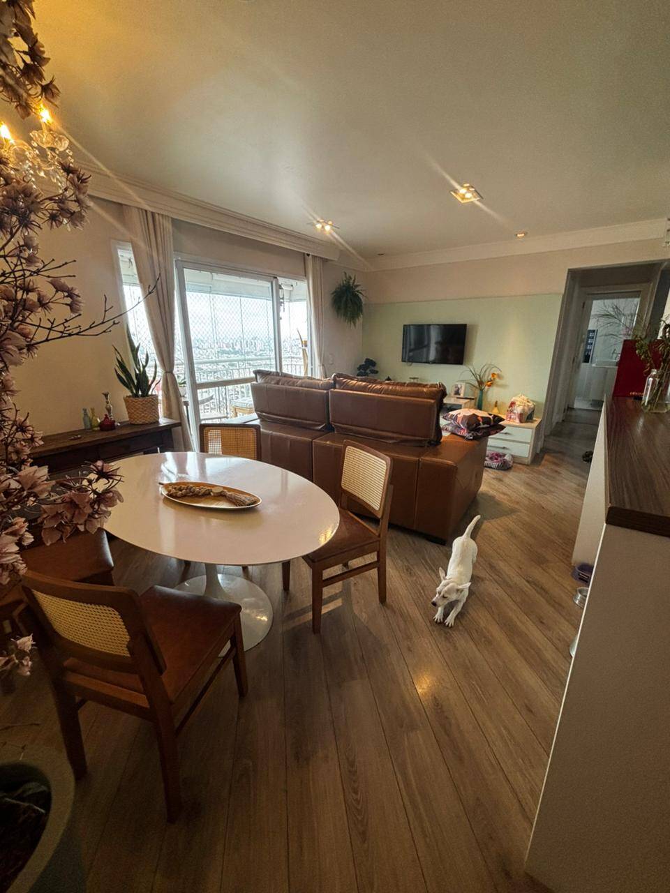 #17596 - Apartamento para Venda em São Caetano do Sul - SP