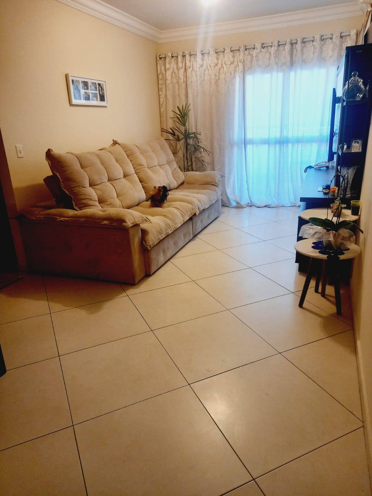 #17298 - Apartamento para Venda em São Caetano do Sul - SP
