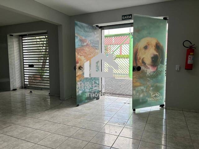 #17574 - Salão Comercial para Venda em São Caetano do Sul - SP - 2
