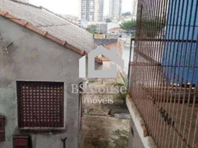#17913 - Terreno para Venda em São Caetano do Sul - SP - 3