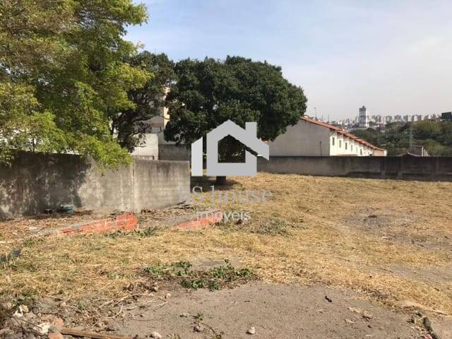 Terreno para Locação em São Bernardo do Campo - 4