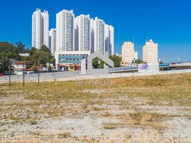Terreno para Locação em São Bernardo do Campo - 4