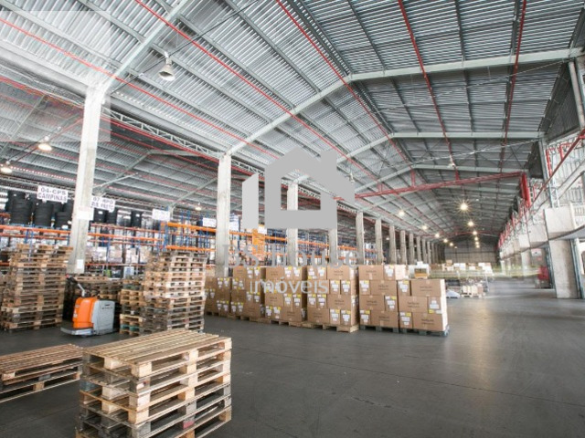 Galpão para Locação em Guarulhos - 5